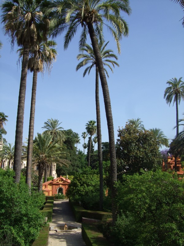 Anadalusien 2009 - 0758 